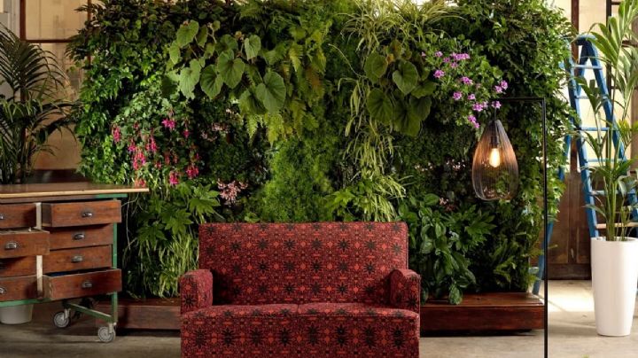 5 creativas ideas para instalar un jardín vertical en espacios pequeños