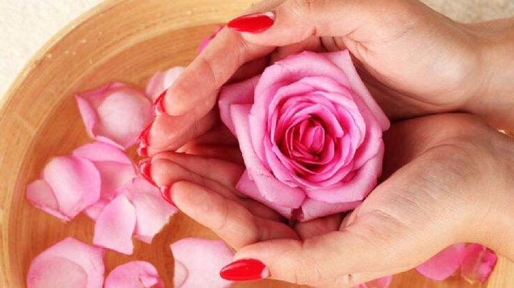 Aprende cómo hacer en casa el agua de rosas naturales, el secreto de la belleza ancestral