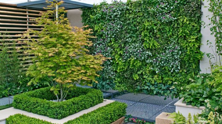 Murales verdes: 3 ideas geniales para renovar el jardín