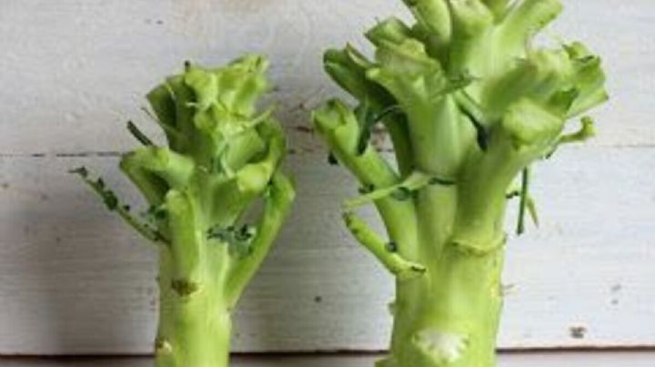 Con esta receta el tallo del brócoli puede ser tu próxima cena