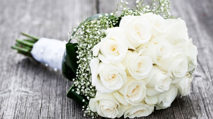 El lenguaje de las flores: El Poderoso Significado de Regalar Rosas Blancas