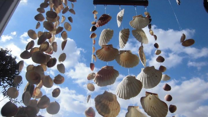 Con esta idea de decoración, vas a querer juntar más conchas en la playa este verano