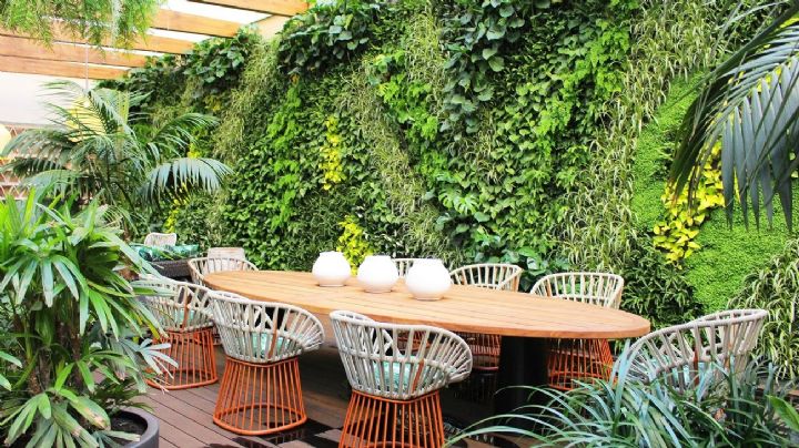 5 plantas ideales para crear un vistoso jardín vertical