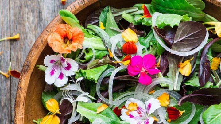 Flores comestibles: ¡4 Variedades que ornamentan tu jardín y enriquecen tus comidas!