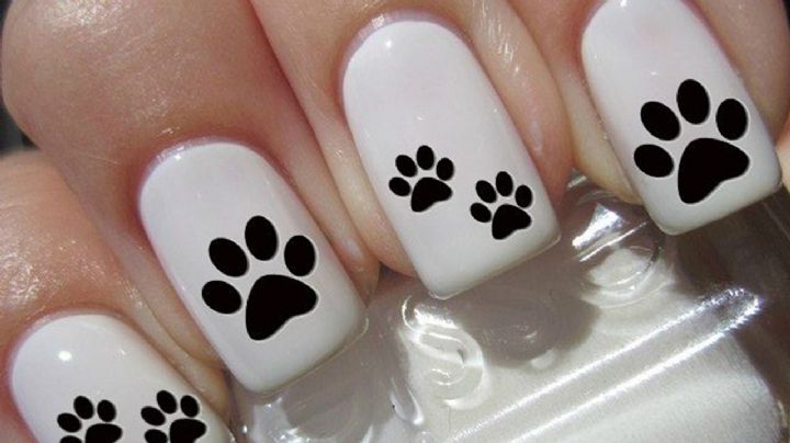 Anímate a probar las Puppy Nails y luce diseños de uñas creativos y alegres