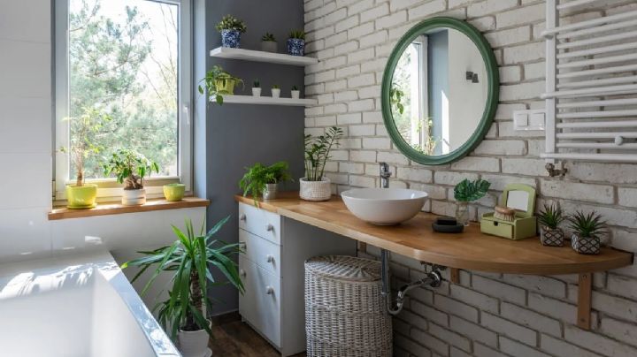 Cómo incorporar plantas en el baño: 3 ideas de decoración que te solucionan la vida