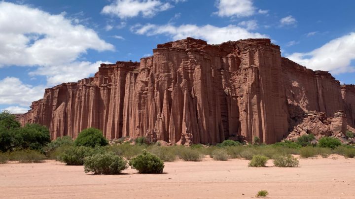 Los Parques Nacionales también festejan su día en Argentina