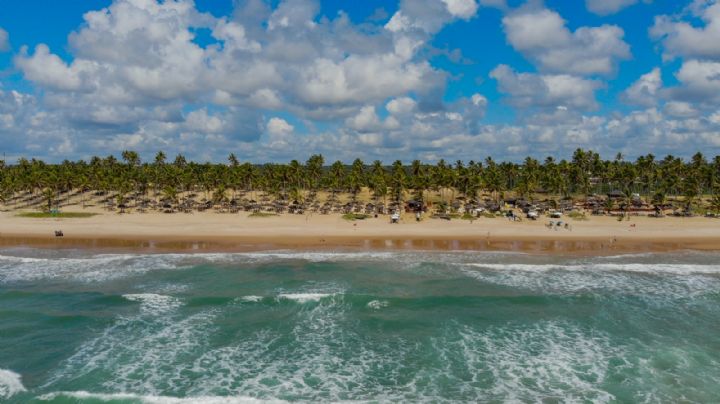 Brasil: Relajación y Aventura en la Costa Norte de Bahía