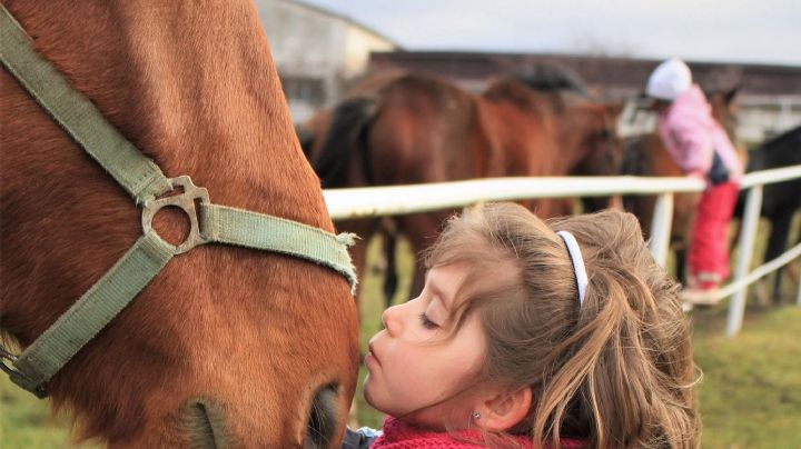 Equinoterapia: Orígenes y beneficios de esta poderosa terapia asistida por caballos