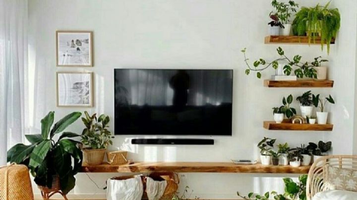 Estas plantas no pueden faltarte en tu hogar durante el verano