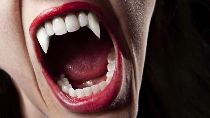 5 animales vampiro que pocos conocen