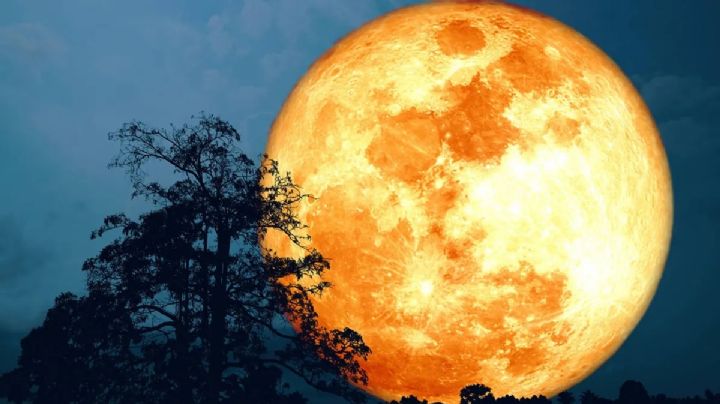 Luna Llena en Virgo: descubrí las predicciones del horóscopo signo por signo