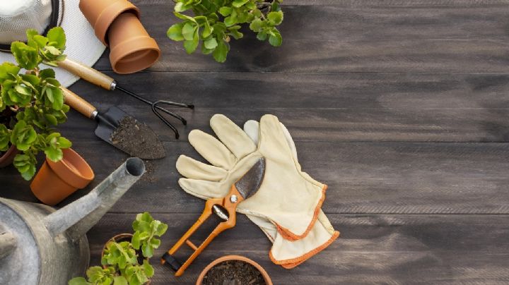 Manualidades: Aprende cómo hacer una pala de jardín con envases plásticos reciclados