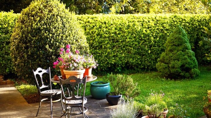 Guía para el jardín: Que es la Vermiculita y cuál es la diferencia con la perlita