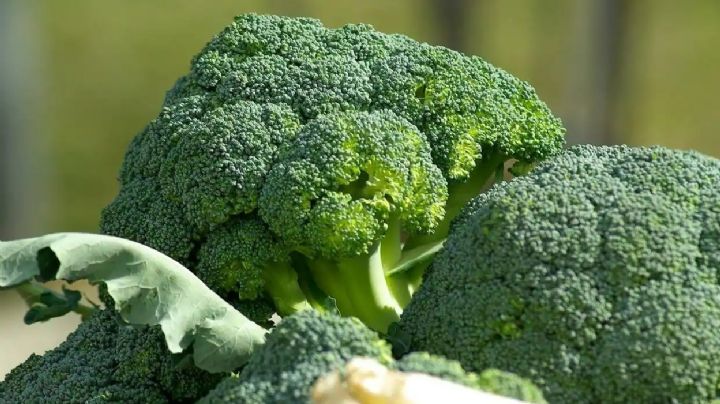 Brócoli: cocción perfecta y sin olor