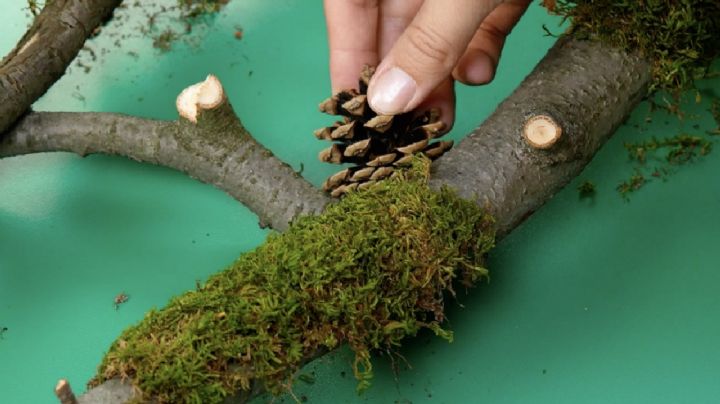 De la naturaleza a tu hogar: 5 ideas brillantes para convertir ramas secas en piezas de decoración
