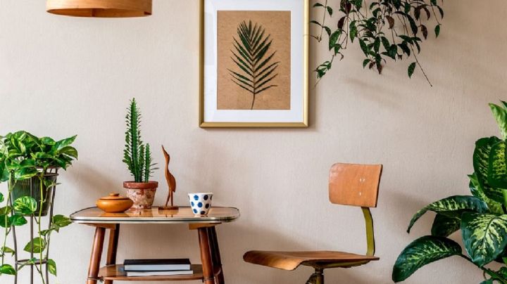 Cómo embellecer la decoración de tu hogar con plantas: Ideas prácticas y estilos inspiradores