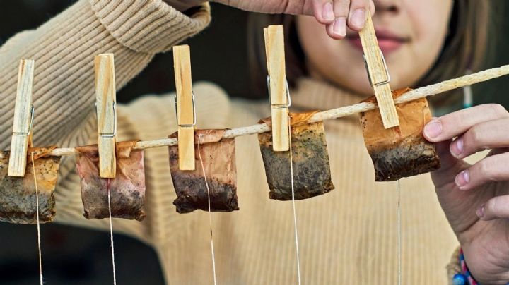 Reciclá tus saquitos de té y dales un segundo uso con estos consejos