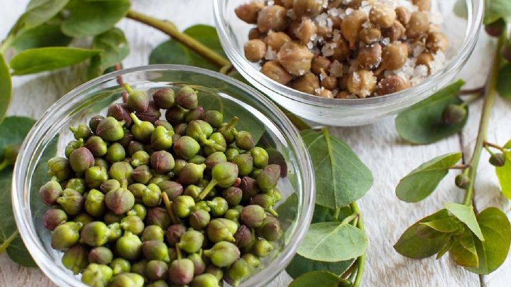 Alcaparras: una planta versátil y deliciosa para tu jardín