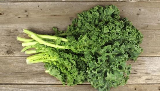 Kale: el alimento que contiene más calcio que la leche
