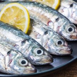 Caballa: 6 beneficios de incorporar alimentos con Omega 3 en tu dieta