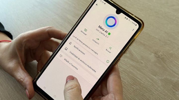 Estos son los temas sobre los que la IA de WhatsApp no podrá darte respuestas