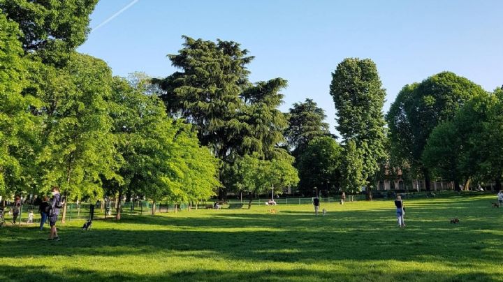 La ciencia lo confirma: Vivir cerca de espacios verdes rejuvenece el organismo