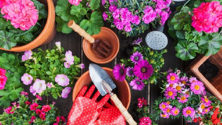 Preparativos para la primavera: 5 tareas esenciales para un jardín espectacular