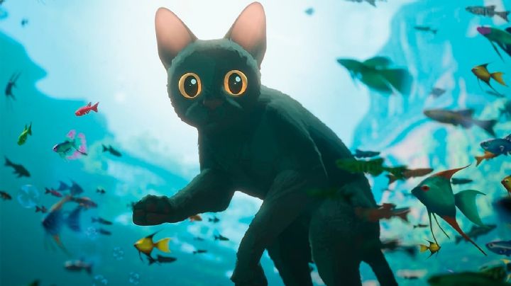 “Flow”: La joya animada que conquistó los Oscar 2025