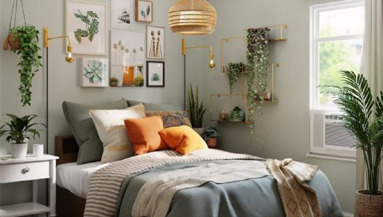 Feng Shui: transforma tu habitación con las plantas ideales y atrae la prosperidad
