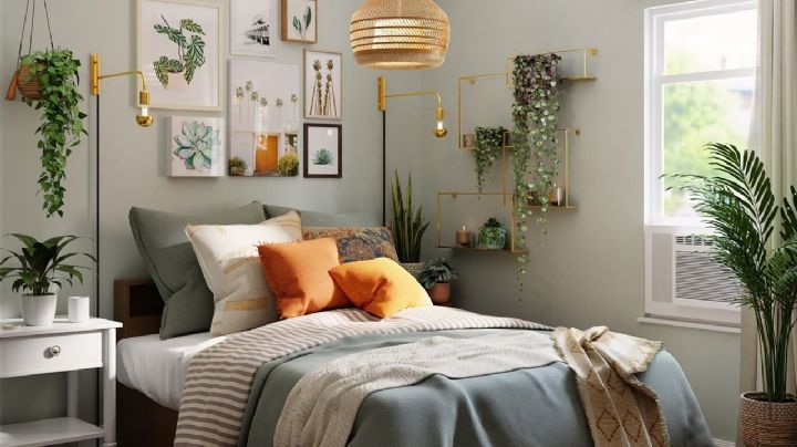 Feng Shui: transforma tu habitación con las plantas ideales y atrae la prosperidad