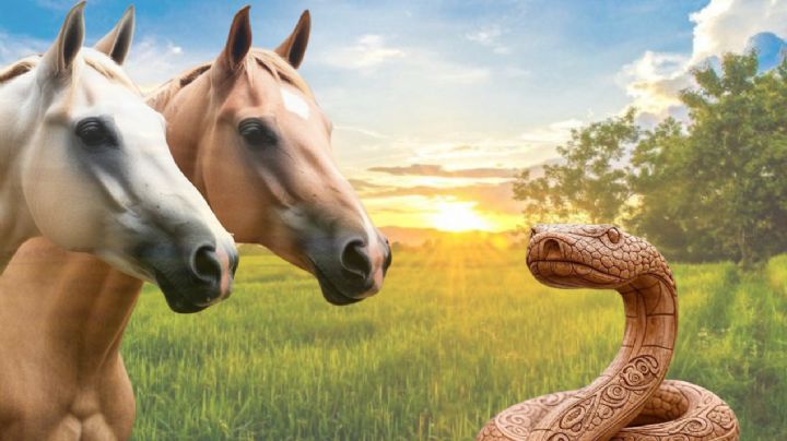 Secretos del Horóscopo Chino 2025: Lo que la Serpiente de Madera Susurra al Caballo