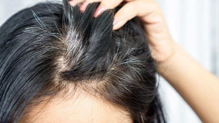 Cuidado del pelo: Esto podría estar influyendo en la aparición de canas