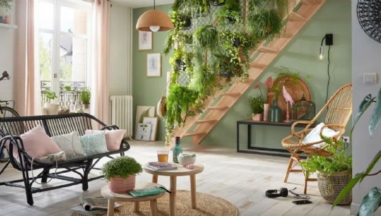 Plantas: Estas joyas son perfectas para perfumar tu hogar de forma natural