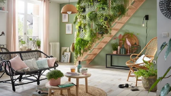 Plantas: Estas joyas son perfectas para perfumar tu hogar de forma natural