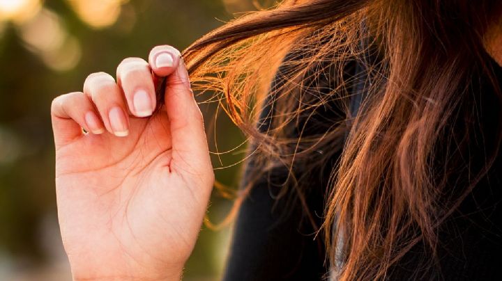 Invierno y cabello: cómo las proteínas vegetales pueden salvar tu melena