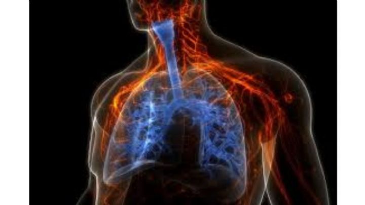 ¿Por Qué el Monóxido de Carbono Nos Obliga a la Precaución y a Cuidar la Vida?