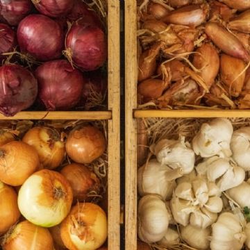 El Tesoro Escondido en tu Cocina: los Beneficios y Usos de la Piel de Ajo y Cebolla