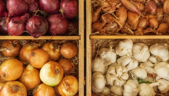 El Tesoro Escondido en tu Cocina: los Beneficios y Usos de la Piel de Ajo y Cebolla
