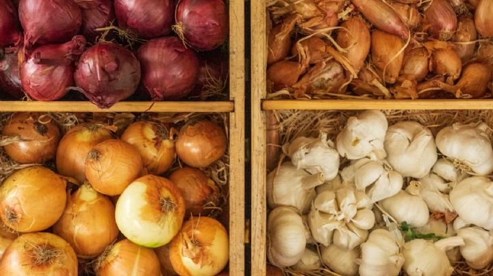 El Tesoro Escondido en tu Cocina: los Beneficios y Usos de la Piel de Ajo y Cebolla
