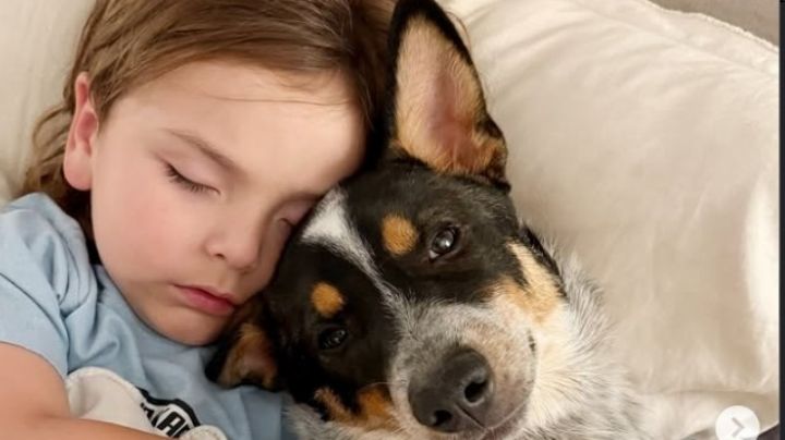Amor a Cuatro Patas: La Conexión Única y el Vínculo Incondicional que los Niños Forjan con sus Mascotas