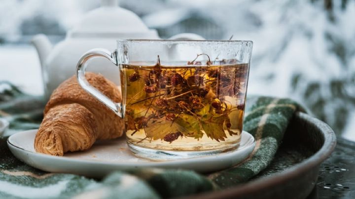 Infusiones: beneficios, variedades y cómo elegir la ideal para cada momento